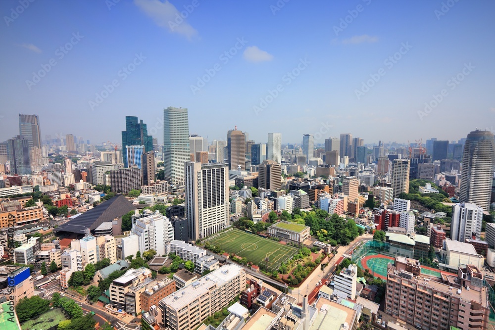 Naklejka premium Tokyo skyline
