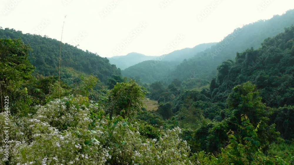 Pan video of evergreen forest landscape at Muang Ngoy village situated on Nam Ou river, Laos. Pan video of evergreen forest landscape at Muang Ngoy village situated on Nam Ou river, Laos.