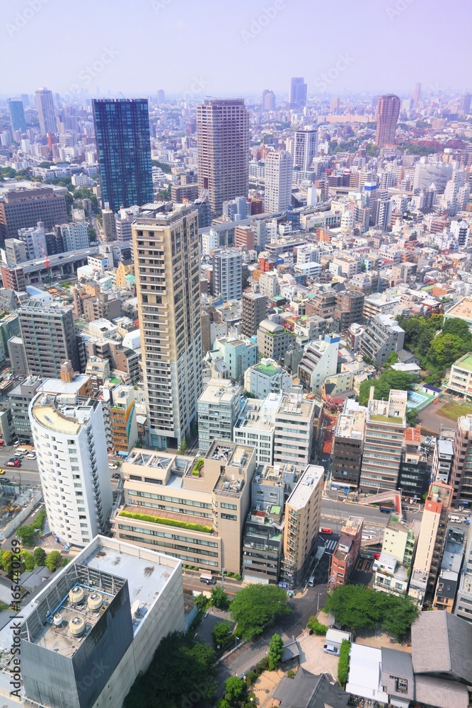Fototapeta premium Tokyo aerial view
