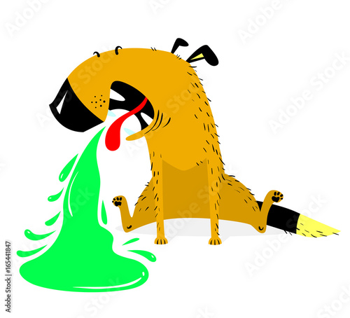 Vomiting dog.Sick dog.  Pet pukes with green vomit.
