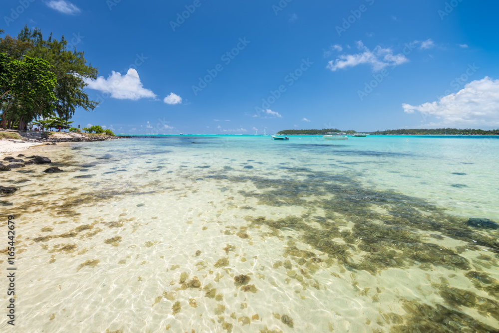 Wide-angle view of the Blue Bay Marine Park, Mauritius, Mahebourg, Indian Ocean