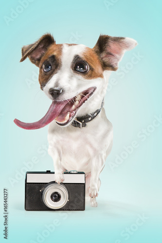 dog taking a photo with an old camera © master1305