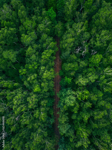 Tory kolejowe w lesie z powietrza