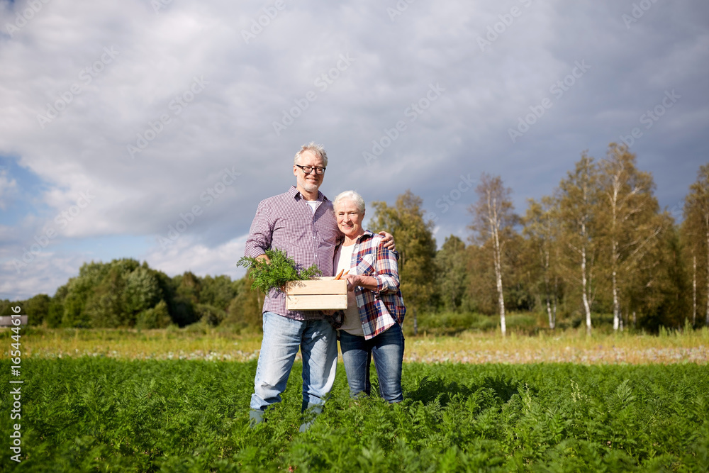 senior couple with box picking carrots on farm senior couple with box picking carrots on farm