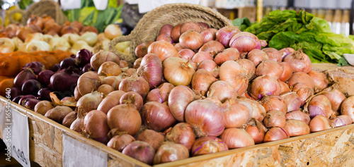 Schilderij op canvas bulb onion on market counter