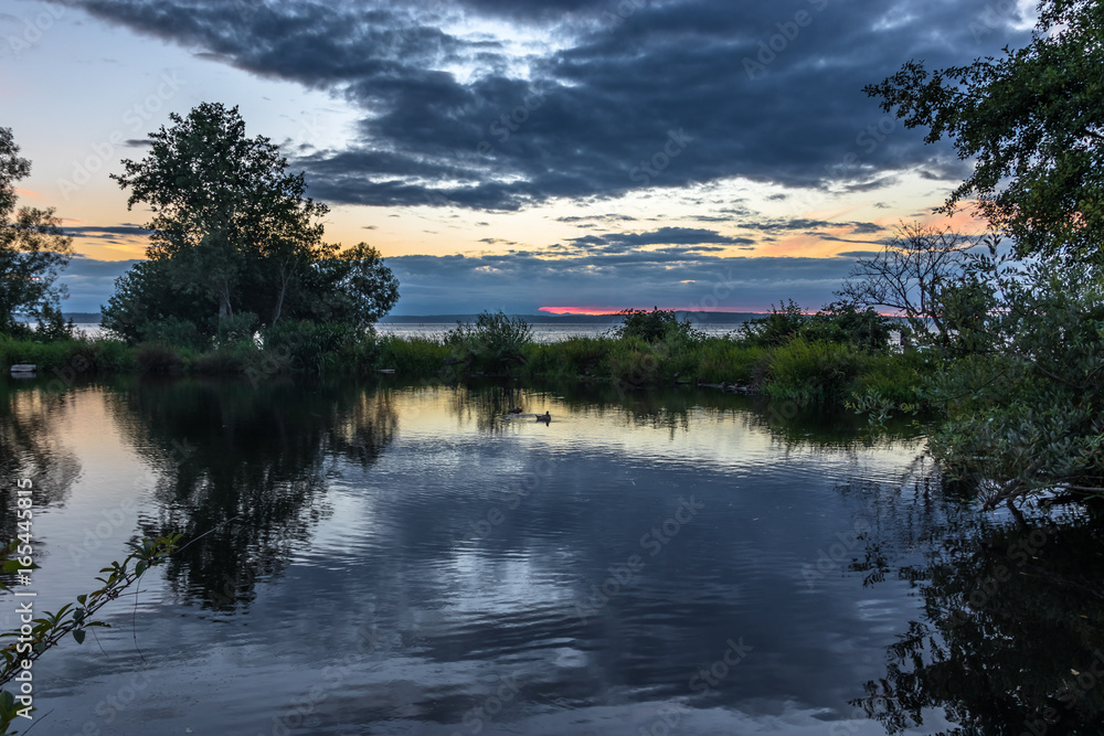 Duck Pond Reflections