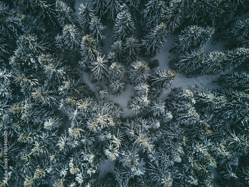 Las zimą z powietrza © Wiktor