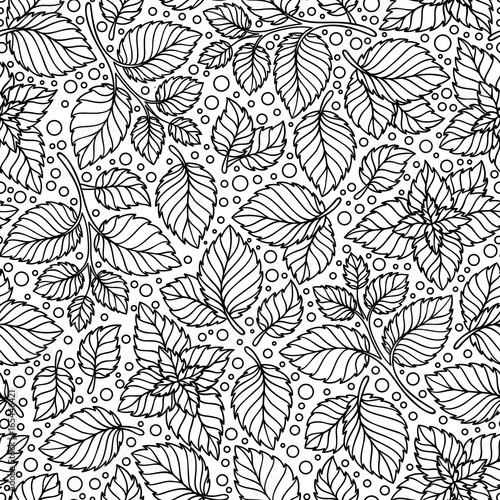 Vector seamless pattern  of mint leaves .