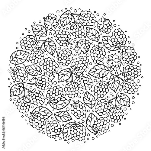   Floral ornament  raspberry  bouquet.