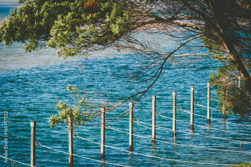 Numbered docking poles with ropes for fishing boats. Ocean shallow water and native Australian trees photo