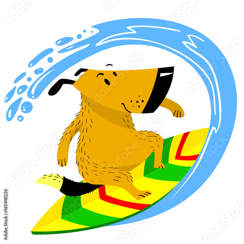 The dog on the surfboard. The pet is engaged in summer sports like human. Serfing dog.