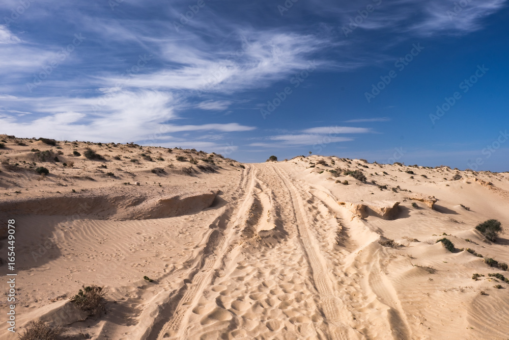 A dirt road in the sand desert