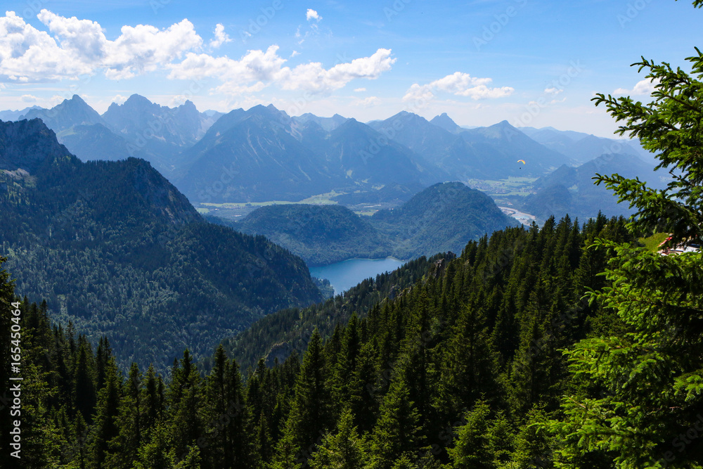 Scenes of Alpine vistas and meadows 