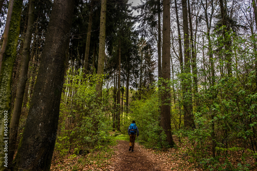 Wandern im Teutonurger Wald