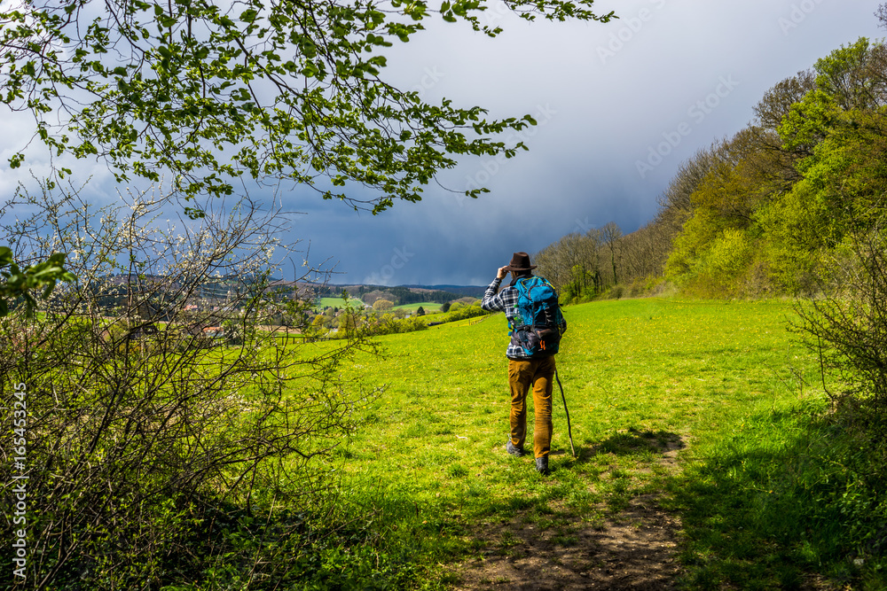 Betreten einer sonnigen Lichtung im Teutoburger Wald Betreten einer sonnigen Lichtung im Teutoburger Wald