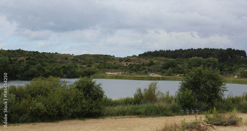 Fototapeta premium National park Kennemerland dunes