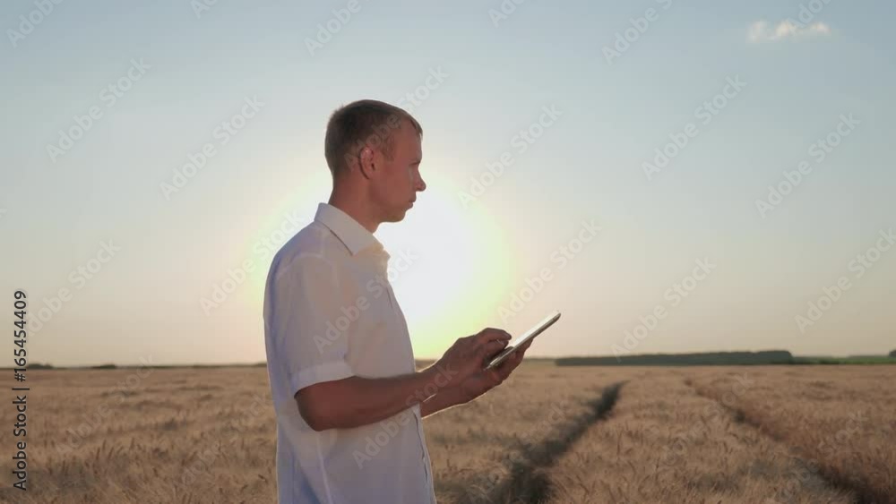 Farmer using digital tablet. Agriculture Technology. Farmer using digital tablet on wheat field at sunset Farmer using digital tablet. Agriculture Technology. Farmer using digital tablet on wheat field at sunset