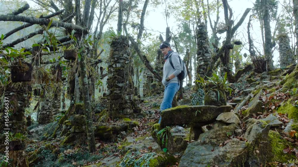 A woman is walking along a beautiful fairy-tale forest in Vietnam A woman is walking along a beautiful fairy-tale forest in Vietnam
