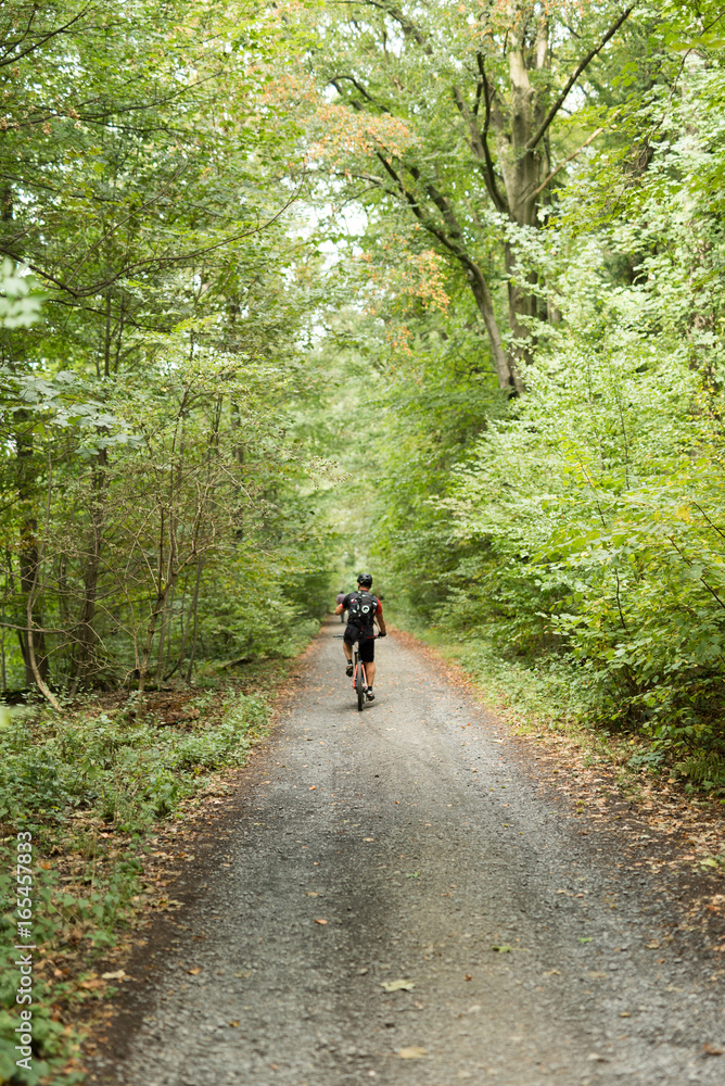Fahrradfahrer im Wald