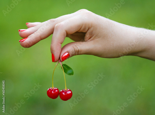 Female fingers with manicure hold a cherry © Fox tales
