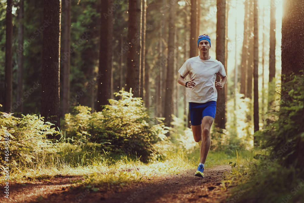 Trailrunning im Wald des Erzgebirges, Deutschland Trailrunning im Wald des Erzgebirges, Deutschland