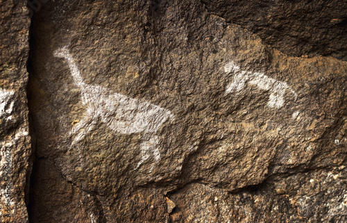 The puma chases the lama, rupestrian rock art in Sumbay Cave from paleolithic era (6000-8000 BC),  Arequipa departement, Southern Peru
