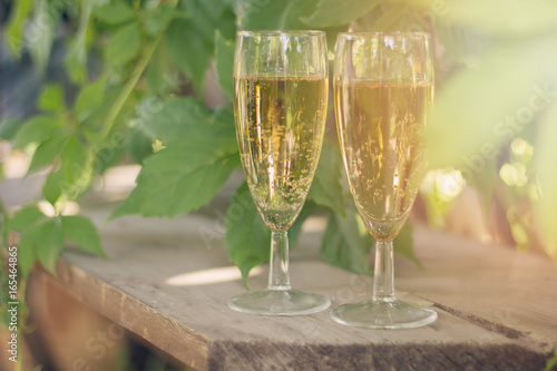 two glasses of white sparkling wine on the background of the summer garden. copy space. warm matte toned