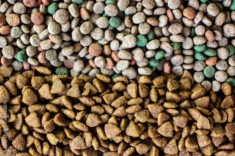 Top view of dry pet food Top view of dry pet food