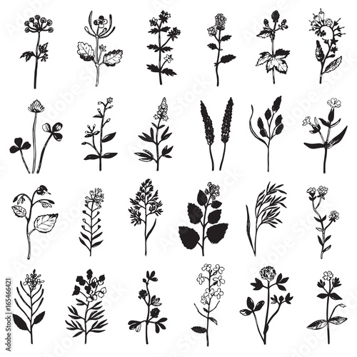Herbal Ink Set