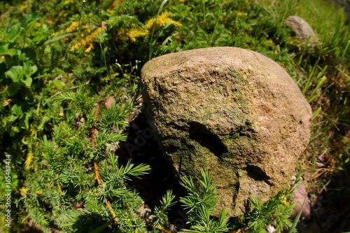Stone in the garden.