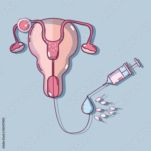 fallopian tubes and artificial insemination process