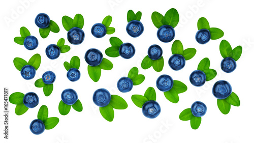 Blueberry with leaves pattern