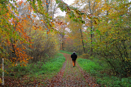 Man walking alone in the autumn forest