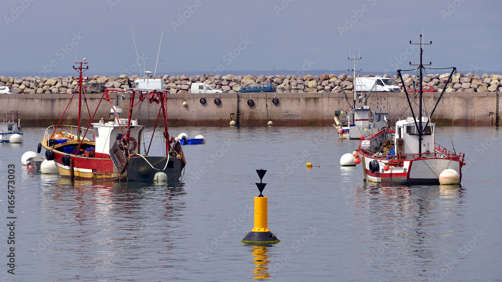 Fishing port and at high tide of Erquy, a commune in the Côtes-d'Armor  department of Brittany in northwestern France on the côte de Penthièvre.  Stock Photo | Adobe Stock