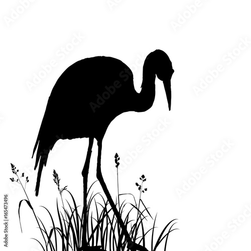 heron in grass silhouette