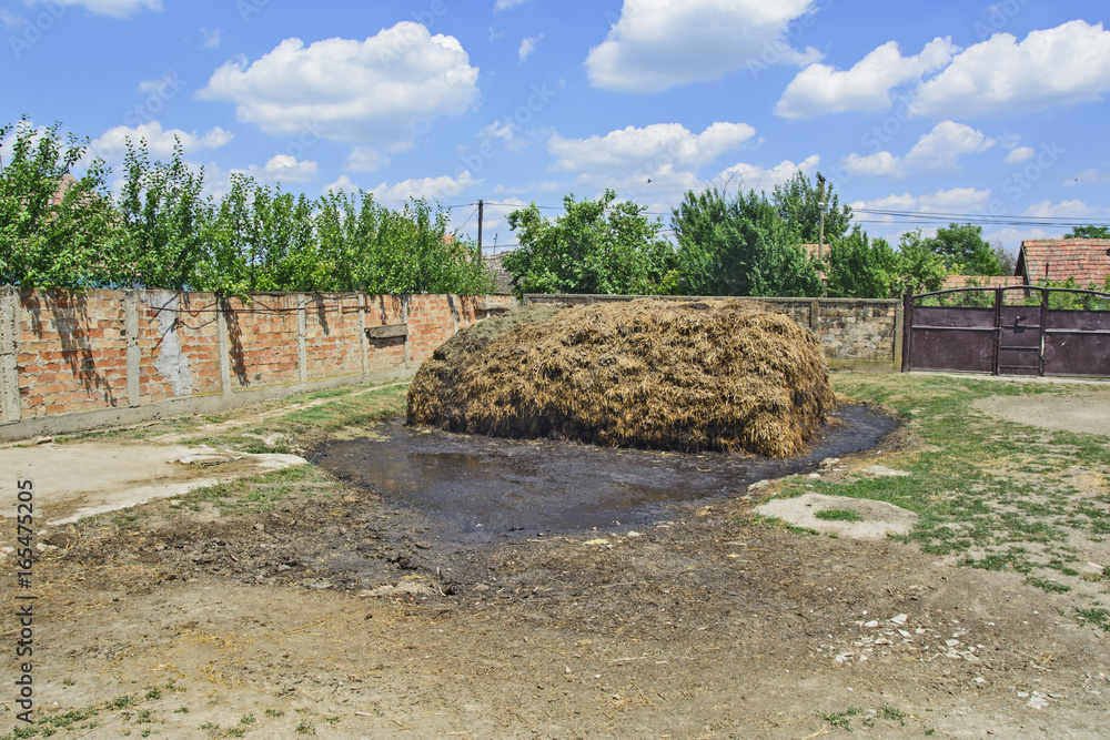 Heap of cow dung ready to use