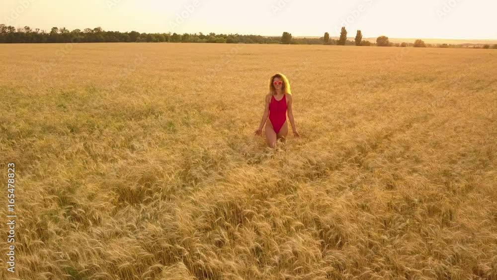 Young beautiful girl in red walking in field. Aerial view. 4K Young beautiful girl in red walking in field. Aerial view. 4K