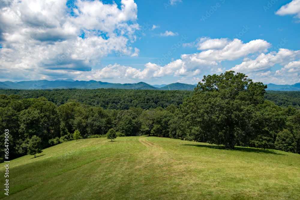 Fototapeta premium Meadows With Mountains