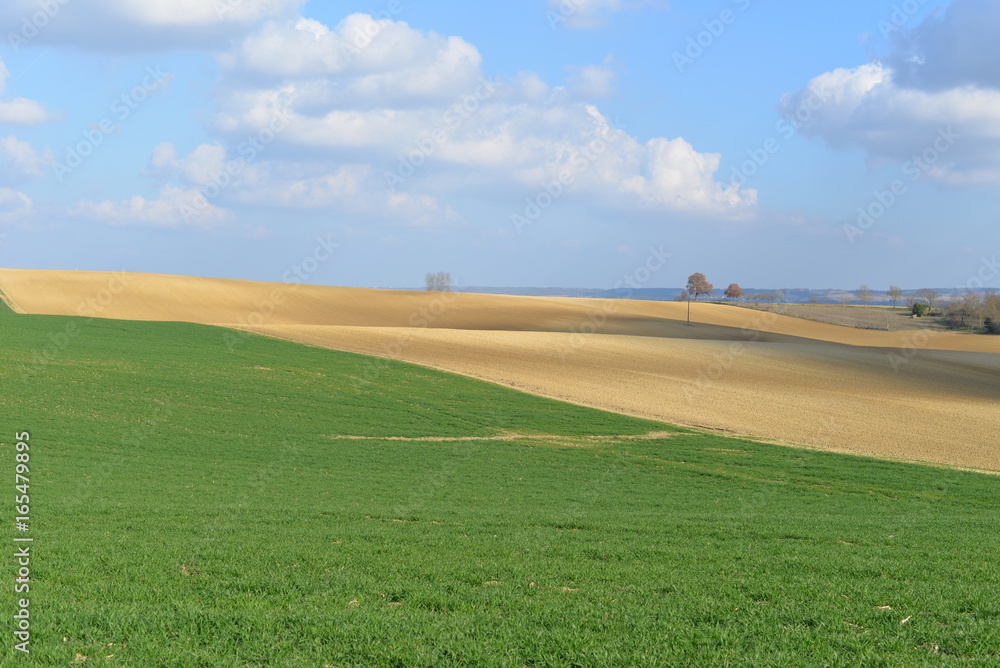 Paysage agricole - Gers
