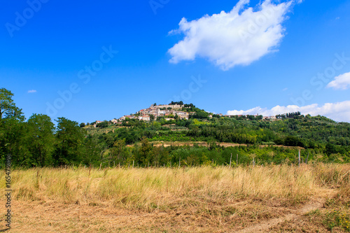 Motovun, Istria. Croatia