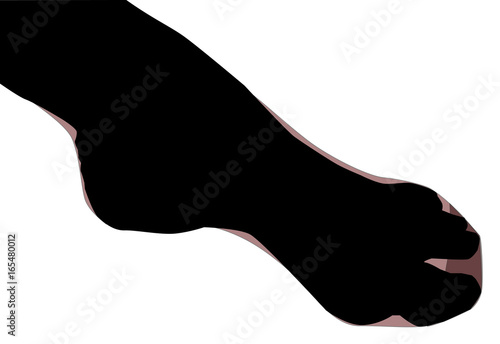 Stocking Clad Ankle