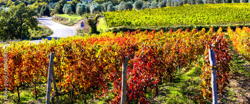 autumn landscape - beautiful vineyards of Tuscany, Italy photo