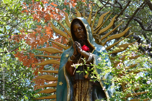 Our Lady of Guadalupe