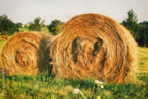 Obraz na plátně Concours photo : C'est le pied à la campagne !
