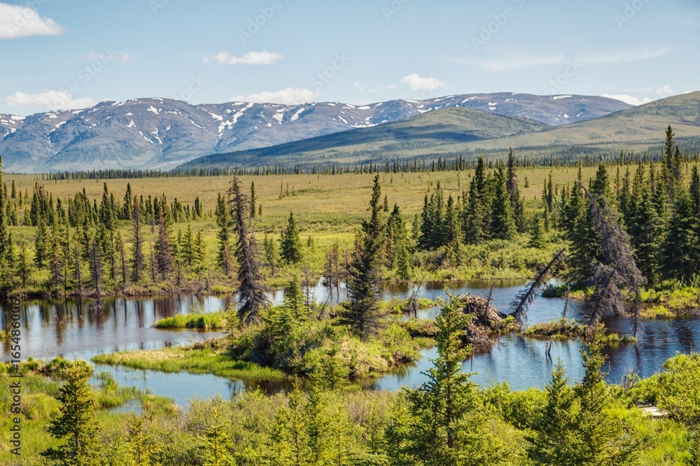 Lake, forest and Mountains in Alaska near Denali national park