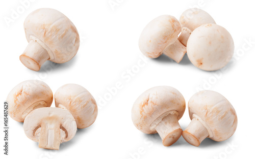 Fresh champignon mushrooms isolated on white background. Set or collection