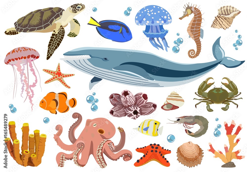 Fototapeta premium Set of marine and oceanic fauna inhabitants. Vector illustration.