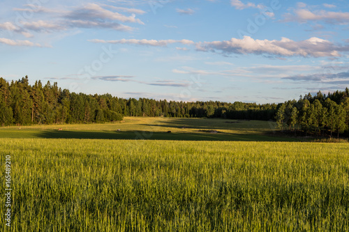 Swedish landscape photo