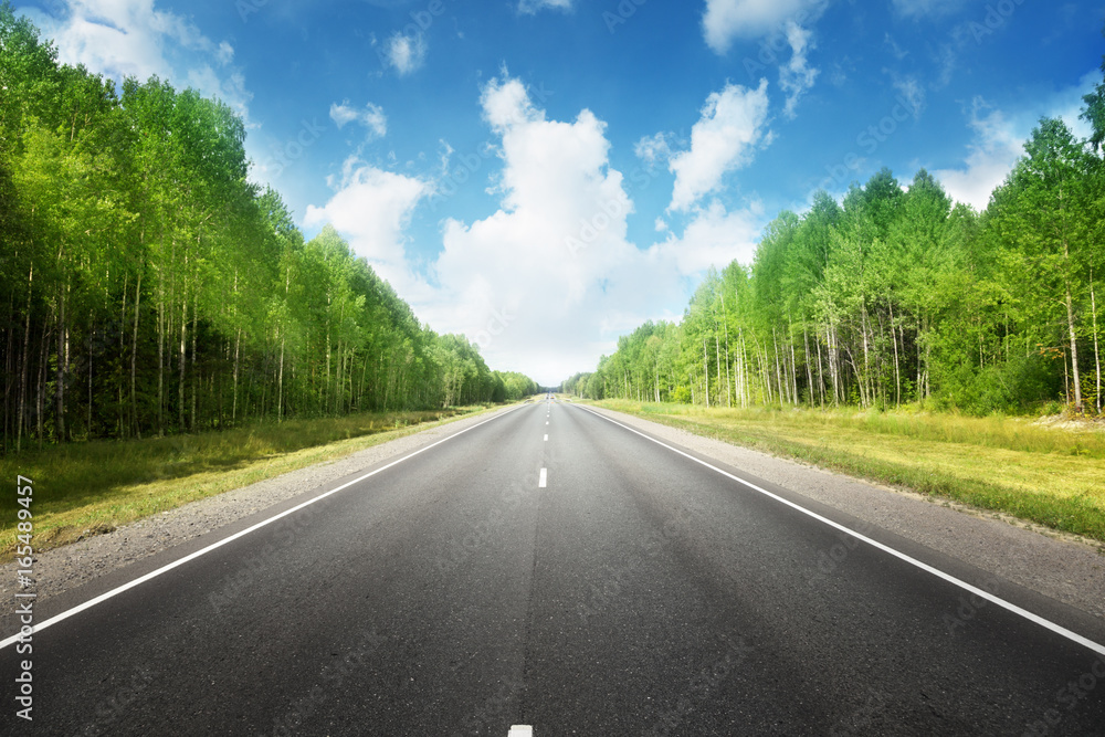 road in summer forest road in summer forest