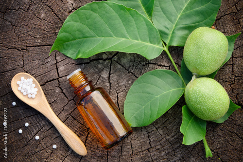 Walnuts, bottle of Juglans regia tincture and homeopathic globules. Homeopathy medicine. Top view, flat lay. photo